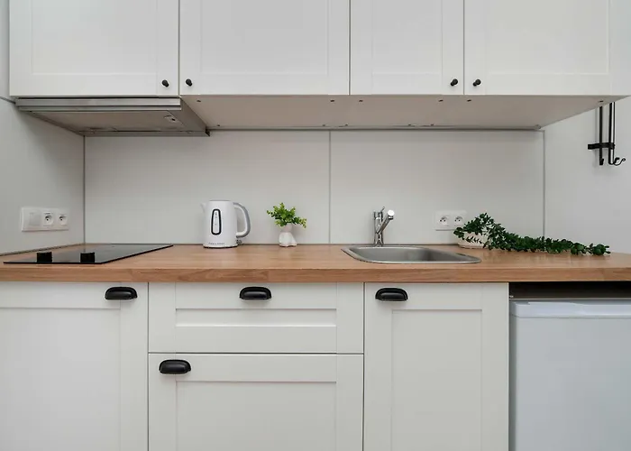 Modern Near Center By Renters Διαμέρισμα *