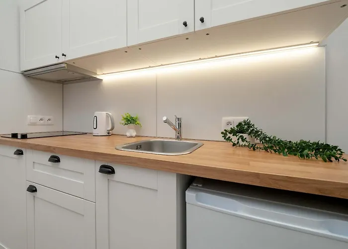 Modern Near Center By Renters